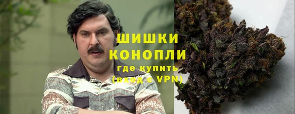 прущие грибы Богданович