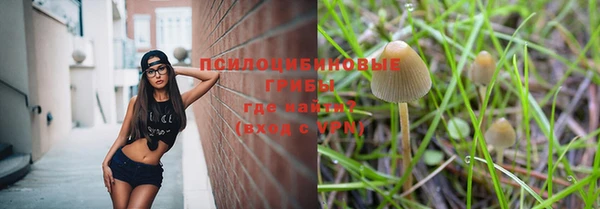 мет Богородск