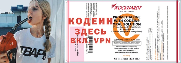 прущие грибы Богданович