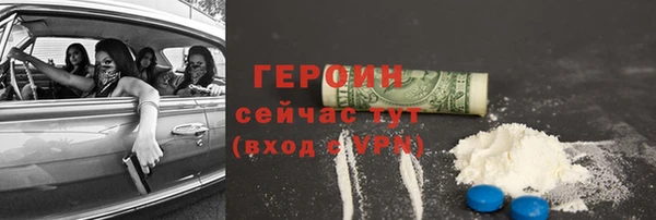 прущие грибы Богданович