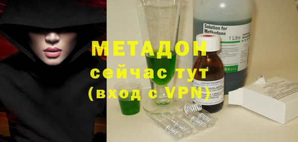 прущие грибы Богданович