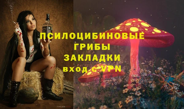 прущие грибы Богданович
