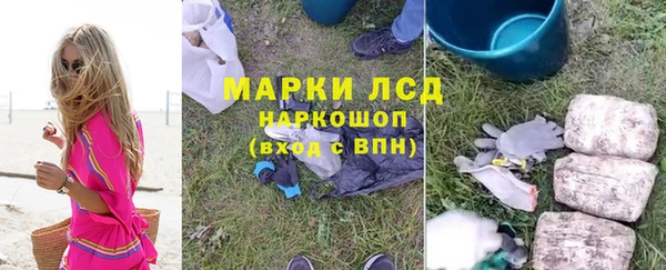 прущие грибы Богданович
