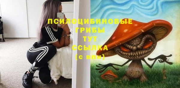 прущие грибы Богданович