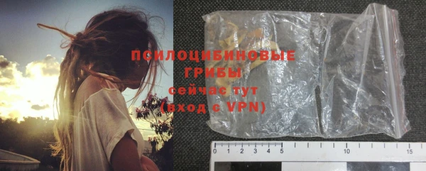 прущие грибы Богданович