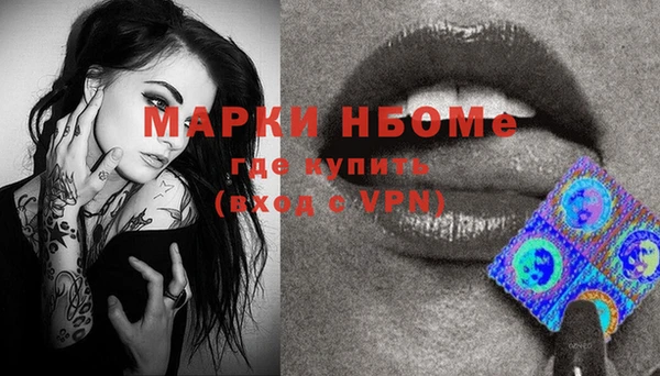 прущие грибы Богданович