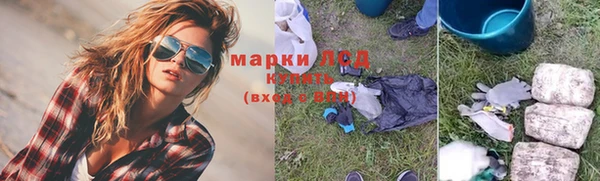 прущие грибы Богданович