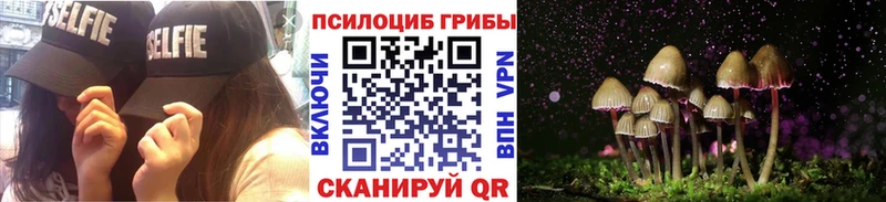 Галлюциногенные грибы мухоморы  Купить  Курганинск 